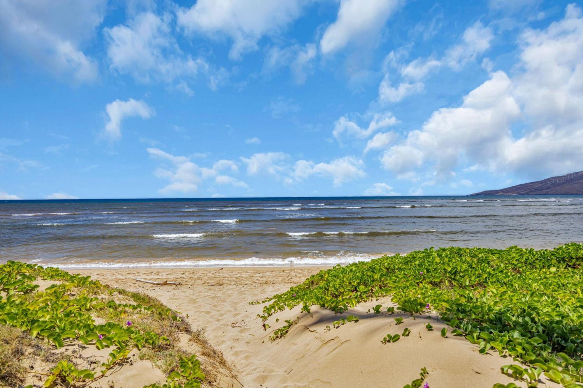 Willa Hale Kai O'Kihei 118 Zewnętrze zdjęcie